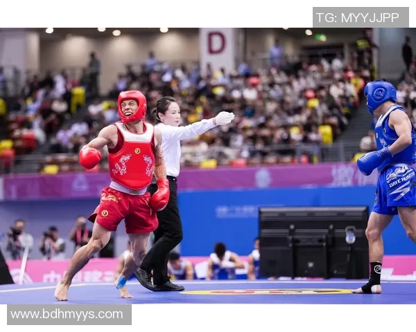 全运会|功夫散打收官 五场决赛河南斩获三金 全运会|功夫散打收官 五场决赛河南斩获三金